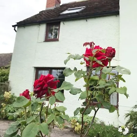 Cosy Cottage In Rural Culmington, Ludlow Exterior photo