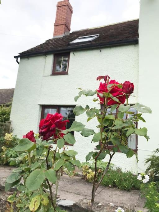 Cosy In Rural Culmington, Ludlow Holiday home *